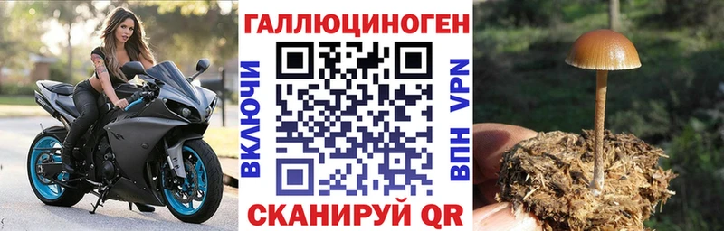 KRAKEN ССЫЛКА Шебекино Псилоцибиновые грибы Psilocybe купить наркотик