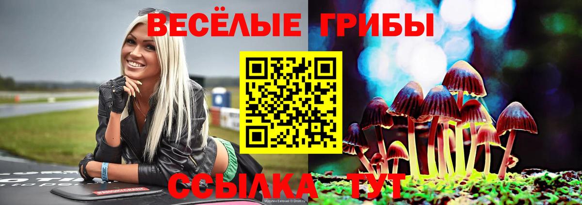 Псилоцибиновые грибы Cubensis  Псилоцибиновые грибы мицелий  Вход с VPN  Шебекино 